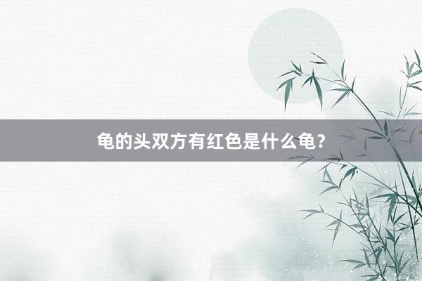 龟的头双方有红色是什么龟？