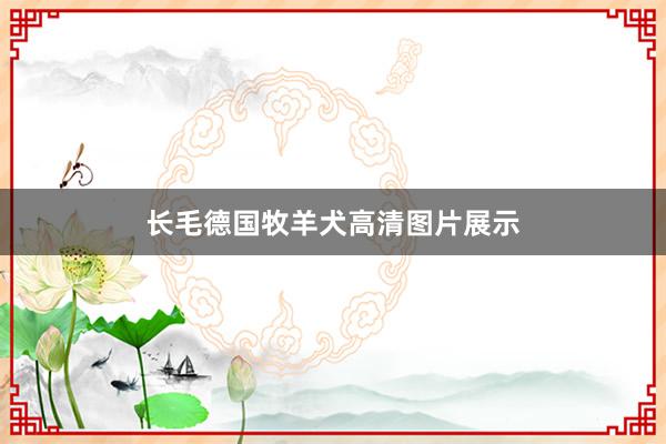 长毛德国牧羊犬高清图片展示
